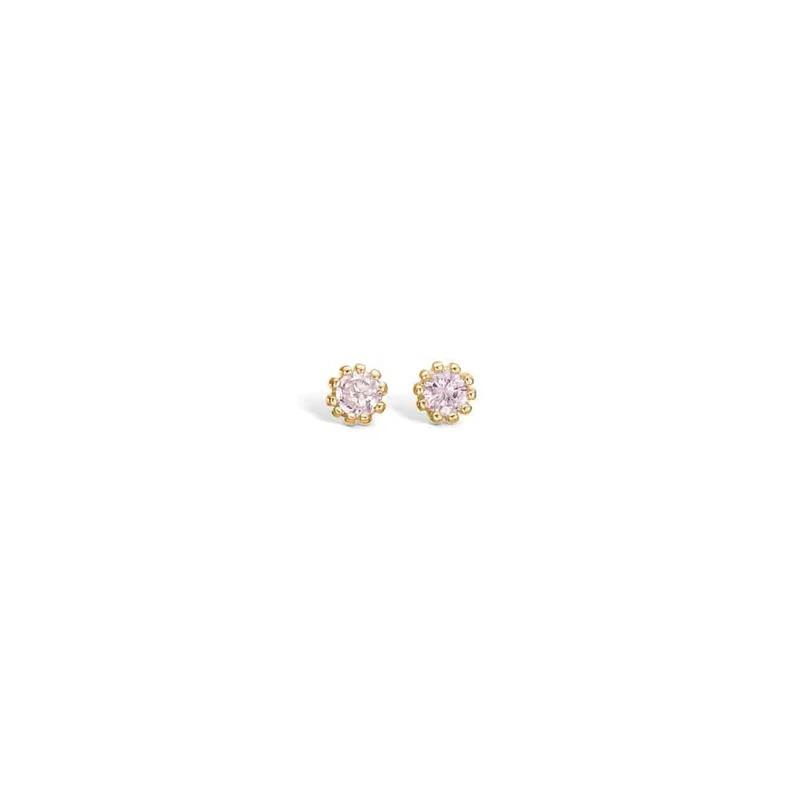9 Karat Guld Fra Blossom Copenhagen 9921418 - Blossom Øreringe  - 1200000177842