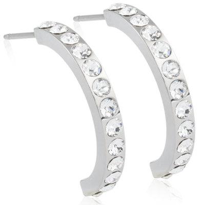 Brilliance Curved Titanium Ørestikker Fra Blomdahl - Blomdahl Ørestikkere  - 7330981521175