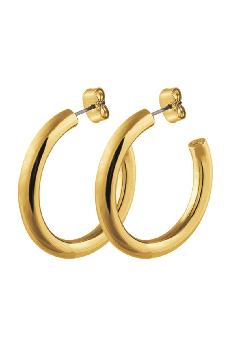 Dyrberg Kern Cirkula Øreringe i Guld – Elegant Design