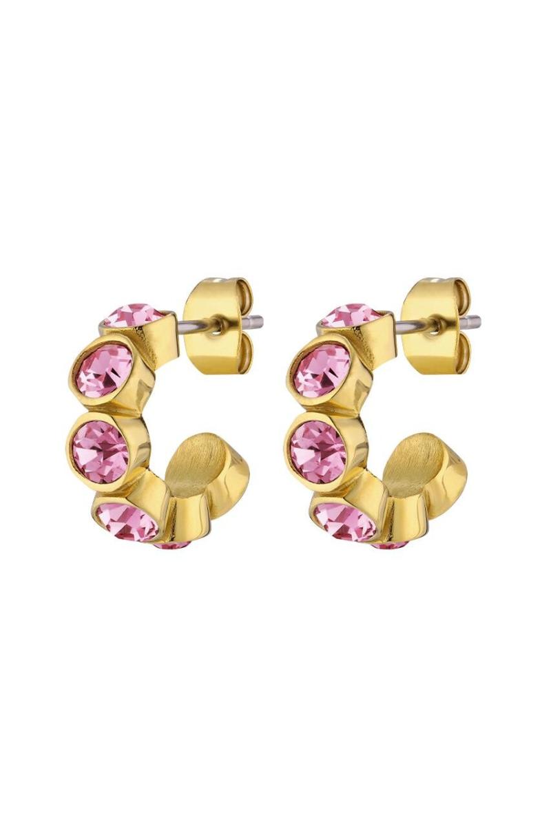Dyrberg Kern Jenna Øreringe i Guld – Elegant Design og Stil