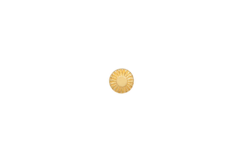 Guld Cent Earring - Ix Studios Øreringe  - 5714534011887