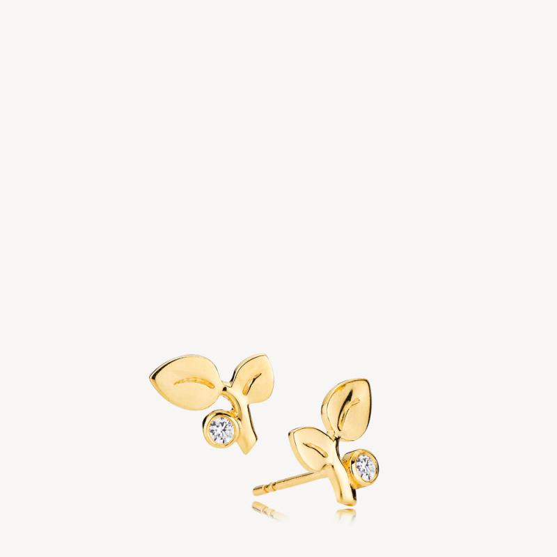 Guld Amber Ørestikker Forgyldt - Izabel Camille Ørestikkere  - 5710143101117