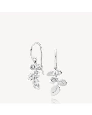 Amber Earrings Sterling ølv Fra Izabel Camille - Izabel Camille Øreringe  - 5710143101100
