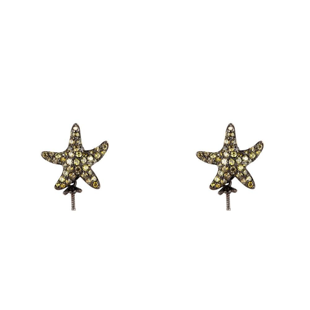 Til Kvinder Lancaster Jla Ear Star - Lancaster Øreringe  - 8059519897436