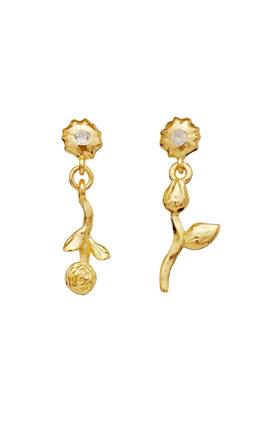 Gold Colour Maanesten Amaria - Maanesten Øreringe  - 5715336013406